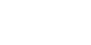 Canada Council for the Arts Logo